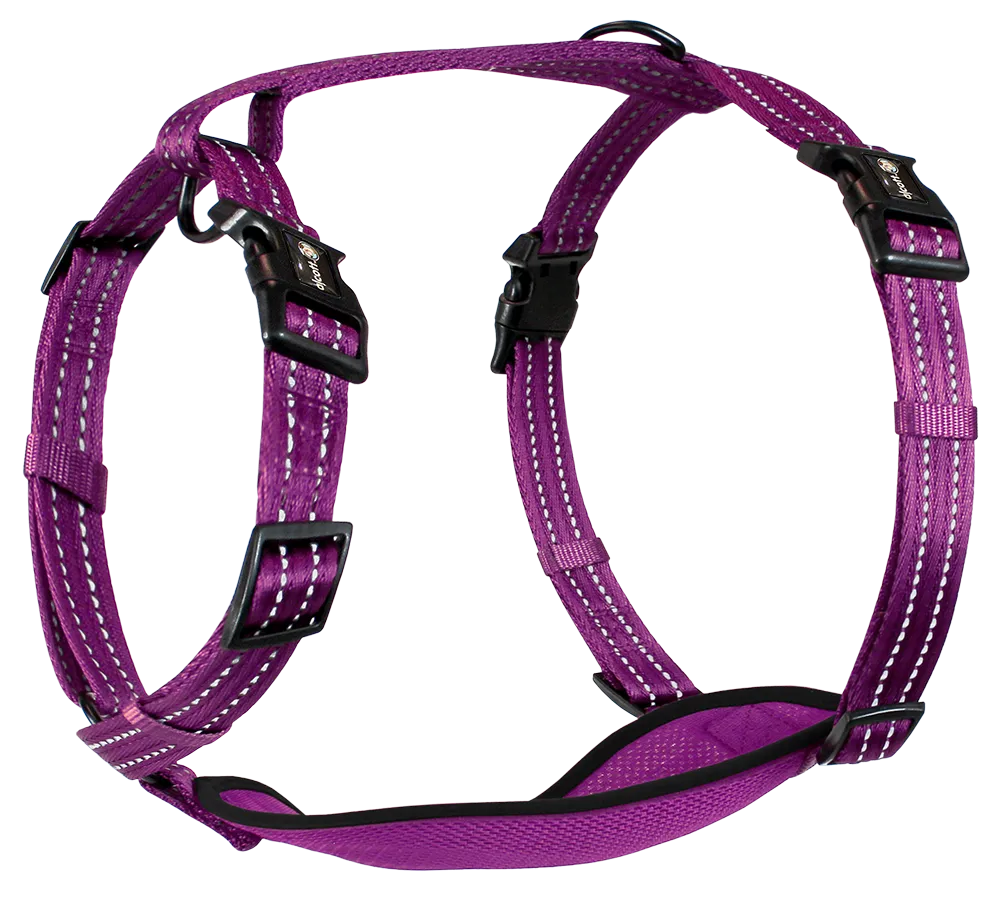 Adventure Harnesses