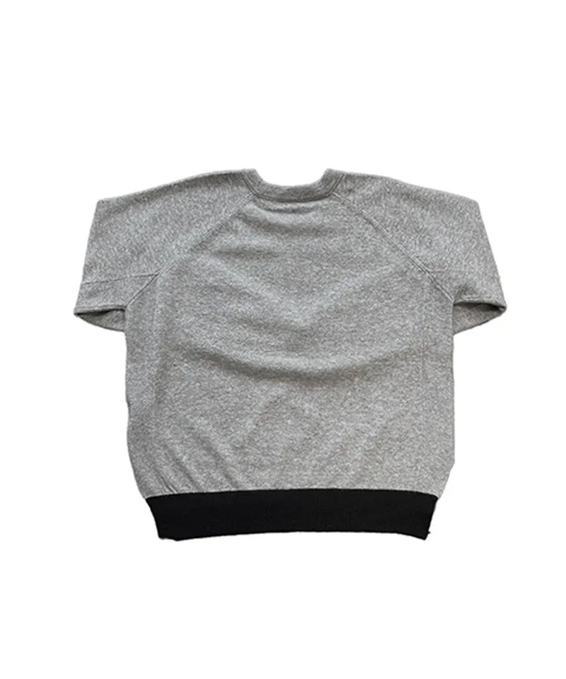 BENECIA 12 Blend Color Scheme R - Gray