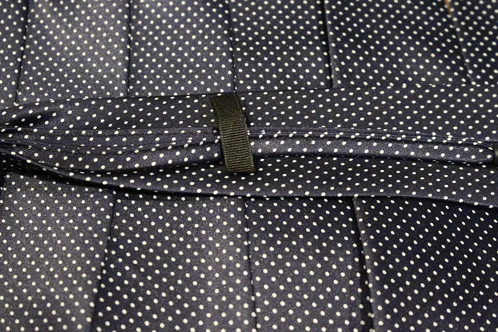 Blue Dotted Kids Zipper Tie with Small White Dots