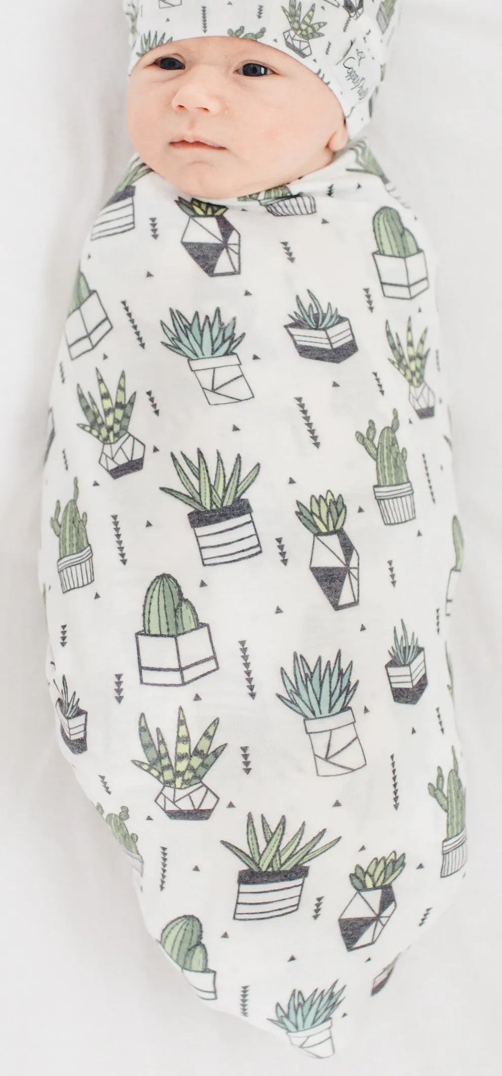 Copper Pearl Shiloh Succulents Knit Swaddle Blanket