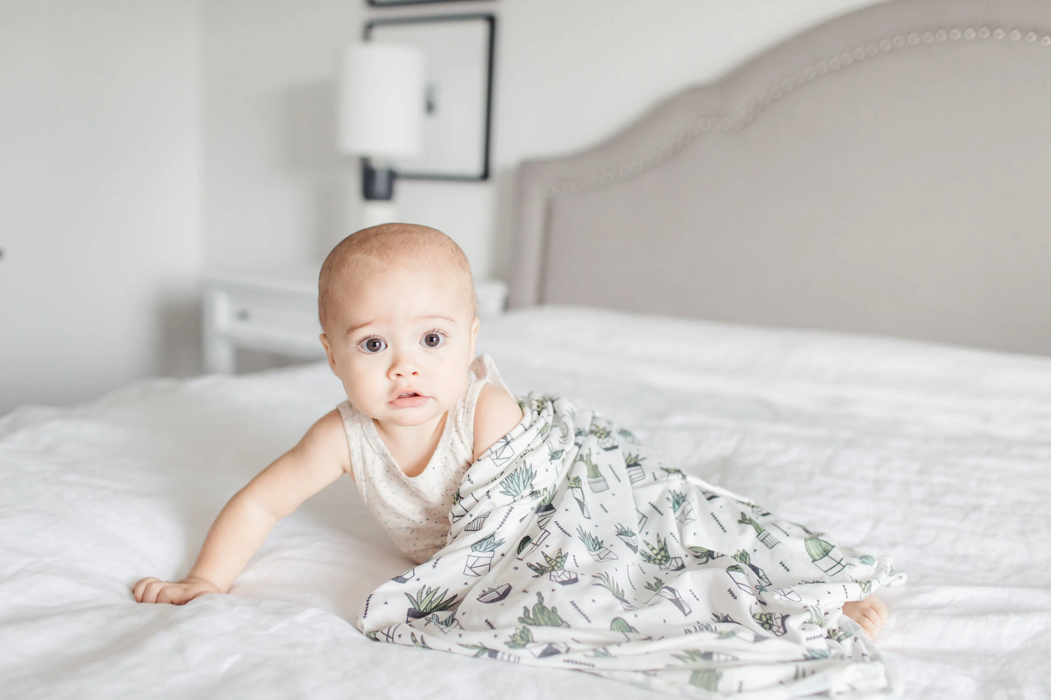 Copper Pearl Shiloh Succulents Knit Swaddle Blanket