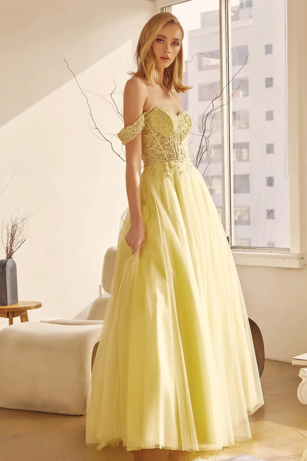 Juliet 280 Off the Shoulder Embroidered Tulle Ball Gown