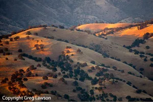 Tehachapi Light